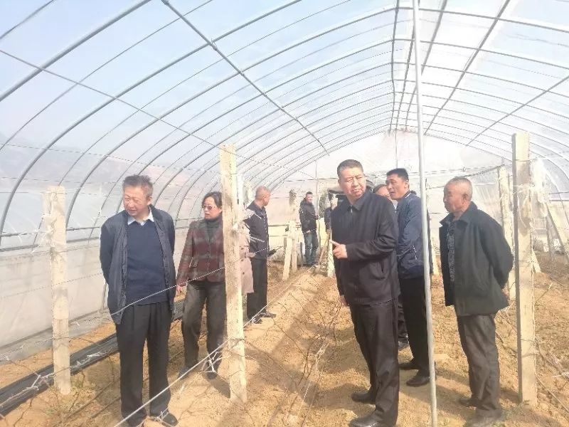 市人大副主任郭建发在思西村就开展乡村振兴工作进行调研