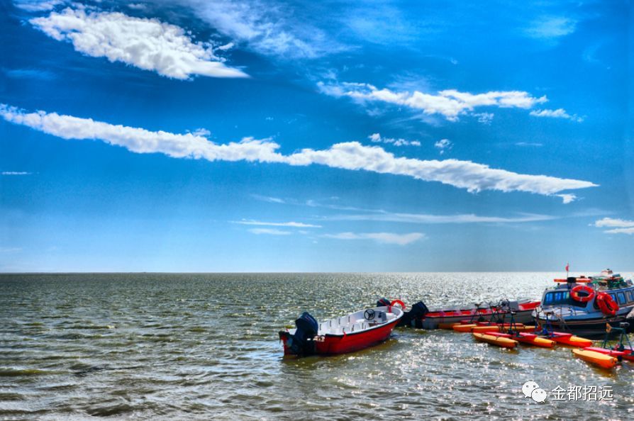 评选出了 龙口市徐福街道等30个规划区外乡镇(街道),莱州市文昌路