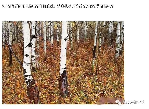 眼力测试眼睛会骗人事实不会