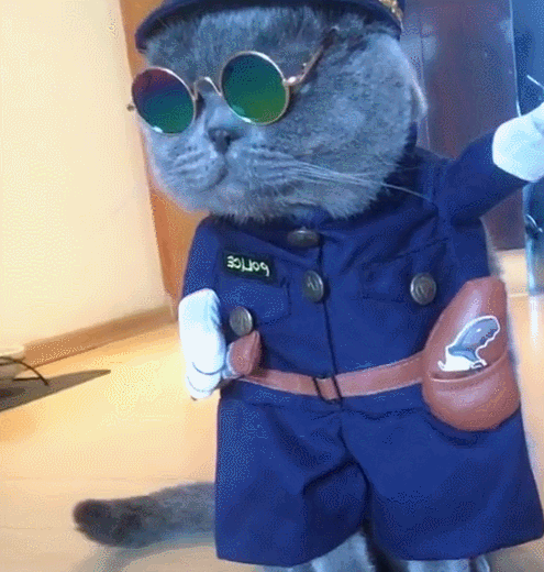 给蓝猫穿上警服后,化身"黑猫警长",网友:一股浓浓的汉奸味