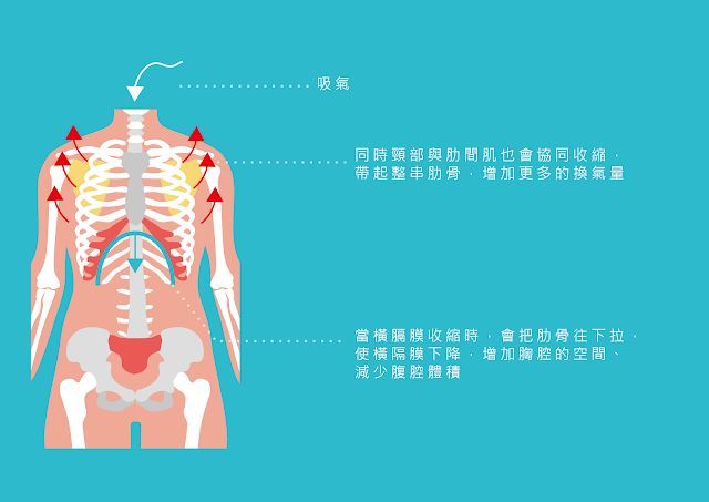 你不知道的核心训练新观念 腾讯新闻