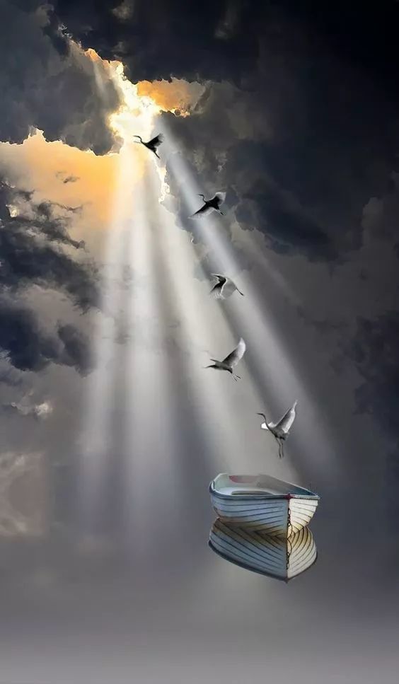 这视觉盛宴炫得无法形容