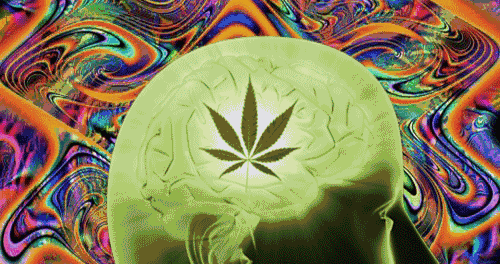 潜意识是怎样给自己"升级"|意识|阿尔法波|贝塔波|西塔波