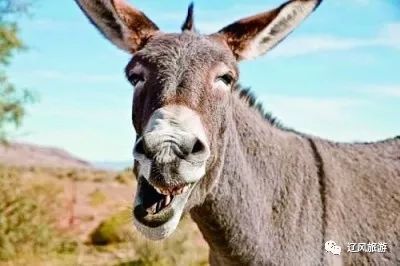 法库县都有哪些旅游景区和特色食品?你了解几