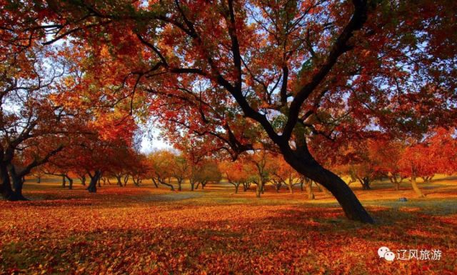 法库县都有哪些旅游景区和特色食品?你了解几