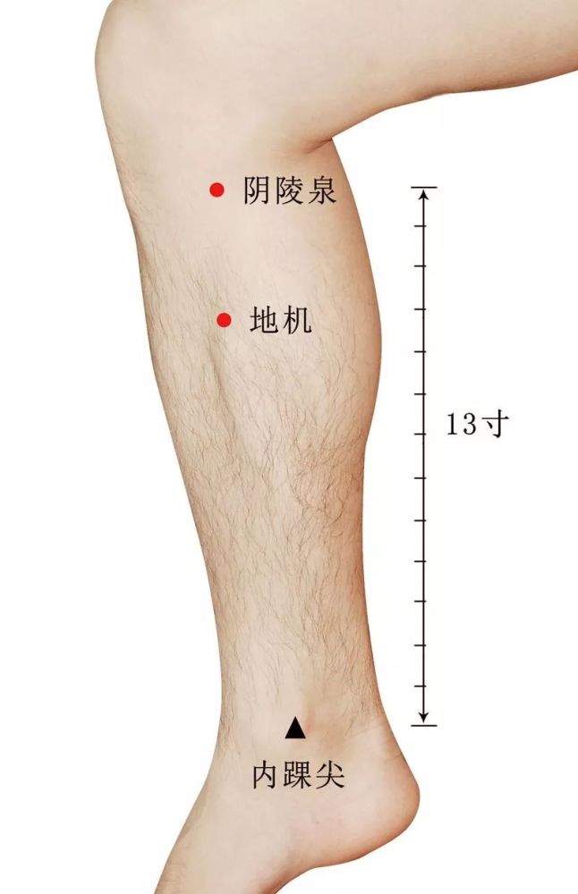 必看 22种疼痛的针灸治疗图解来了 腾讯新闻