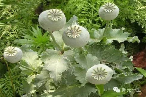 5G要来济南啦!十大领域完成5G商用