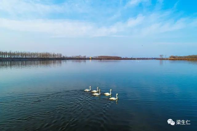 梁生仁平遥天鹭湖她是姹紫嫣红的大红灯笼高高挂她