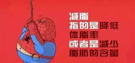 女生体脂率多少最好看 9张图告诉你