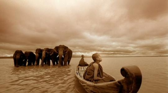 最美不过《尘与雪》,走进最美纪录片的深度