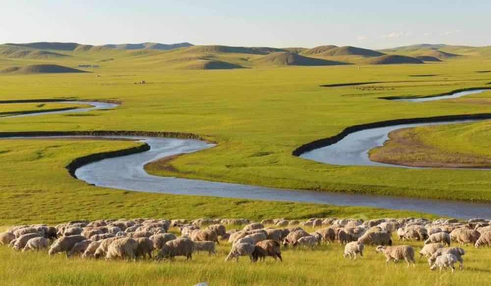 八思巴文|兴安盟发现索伦金牌，上有23个不认识的八思巴文，竟是这个意思