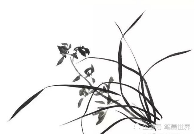国画入门:写意兰草步骤图