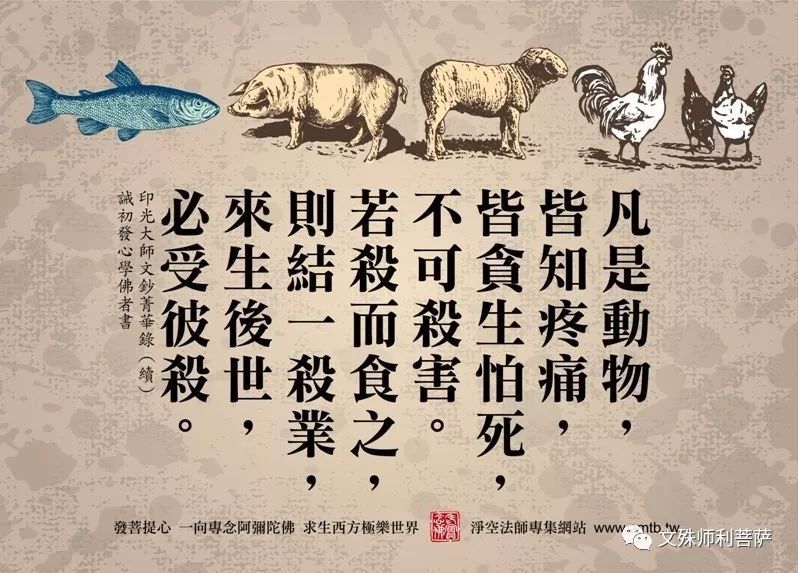 因果故事放生和财布施让我一步步从社会底层到人人羡慕真实版命运逆袭