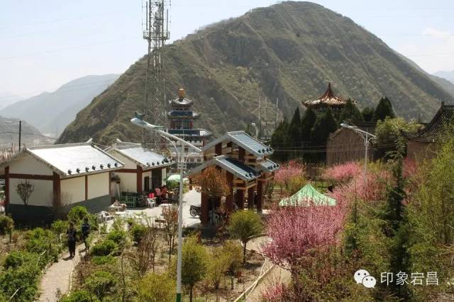 四月高庙山,惊艳了整个宕昌【组图】_腾讯新闻