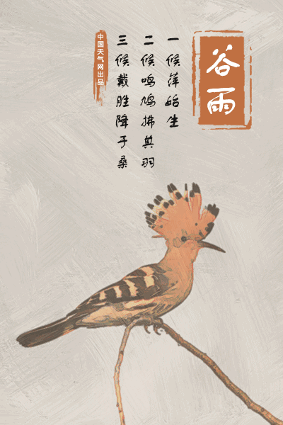 今日谷雨,夏将至