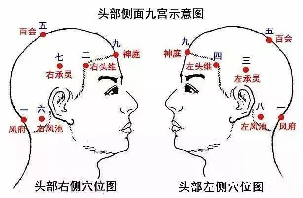 穴位图:全身各个部位精准穴位图