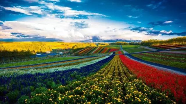 褪去樱花与雪的外衣 你不曾见过的北海道夏日风情同样令人迷恋 腾讯网