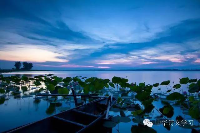 古诗词|古诗词中的夏日时光， 心静自然凉意生