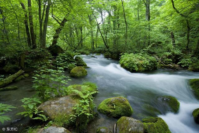 如何学习八字算命,二十多年算命经验的命理师