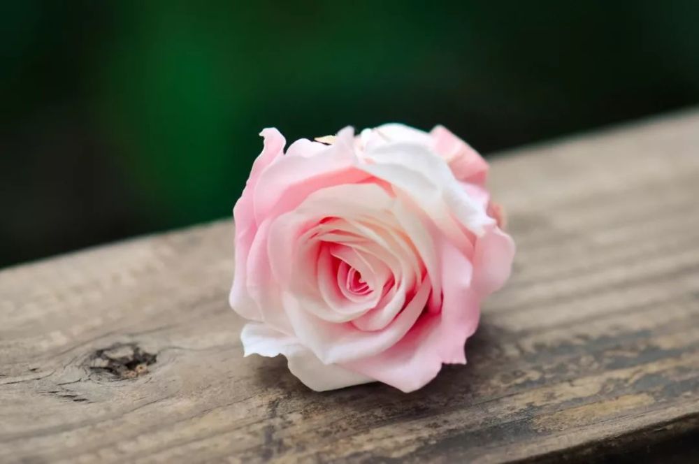 汉字|这些汉字天生一对，你认识多少？