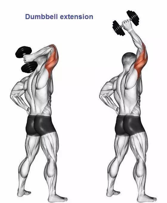 最全的肱二三头肌训练图解,漂亮手臂必备!