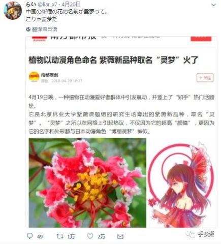 我们的同胞遍布四海 花都被 宅 化了 腾讯网