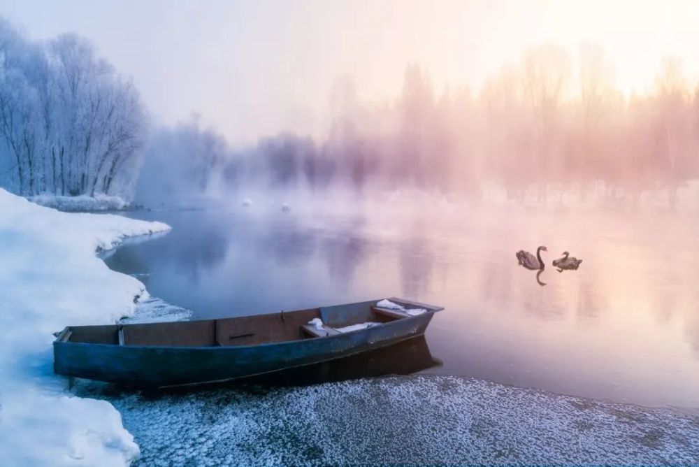 汉字|这些汉字天生一对，你认识多少？