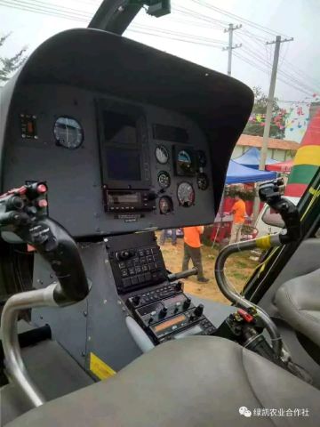 恭喜广西武鸣双桥镇沃柑老板怒提直升机