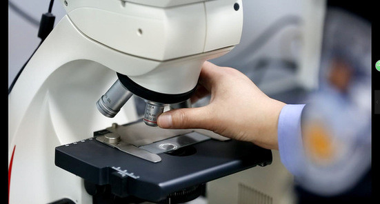 土葬十余年被掘出验身 , 四肢腐烂;江中浮尸呈 " 巨人观 ", 五官