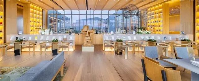 北京|长假未结束，还来得及打卡这些北京书店！