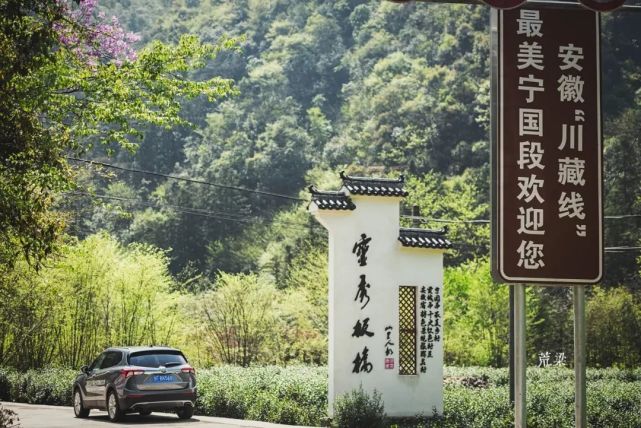 春游季 两天两夜逃离人海 去 皖南小川藏线 赏花采茶戏个水