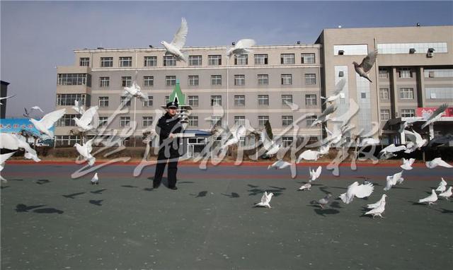 张家口监狱不为人知的一面