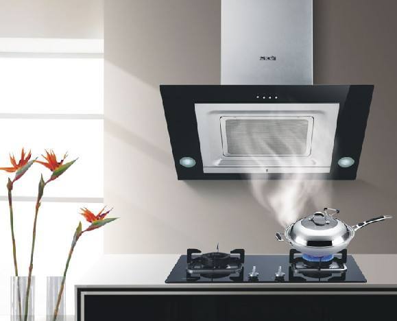 威岭,从做一个优质亲民的厨电品牌开始!