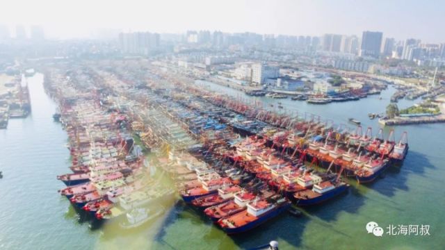 航拍:千帆回港!北海2018年休渔期开始了!