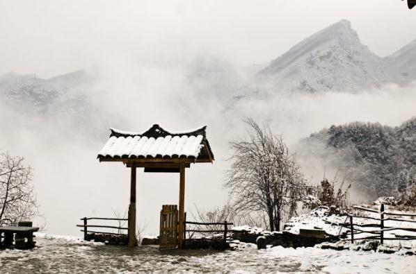 揭秘武当山隐士的逍遥生活