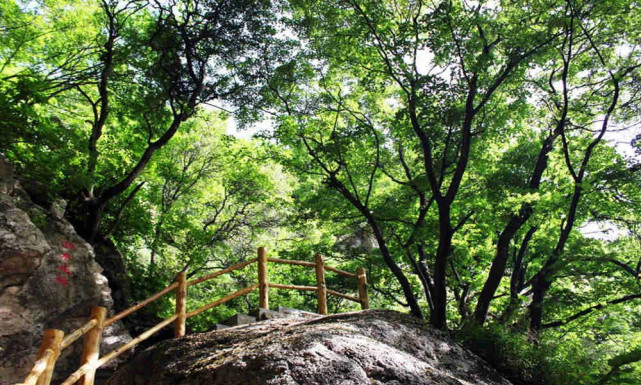河北平山黑山大峡谷详情游玩景点