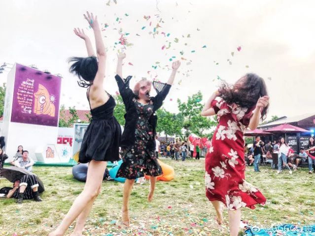 2019太湖迷笛音乐节我们还会再见!