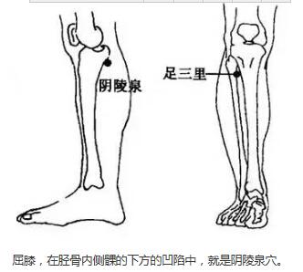 在內踝尖上用自己的手指4指之上,按壓有一骨頭,三陰交穴位於脛骨後緣