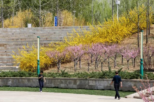 平谷区文化公园:用文化点亮市民休闲生活