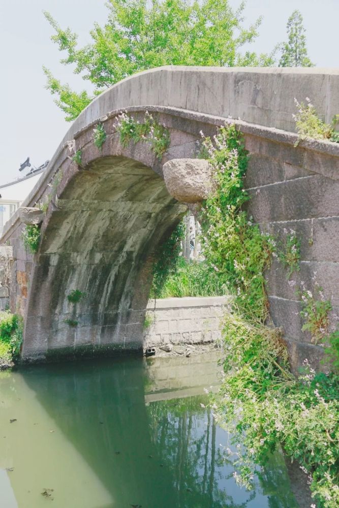 斑驳青石载历史沧桑 松江区车墩镇有三座明清时期的古桥,分别为钱家桥