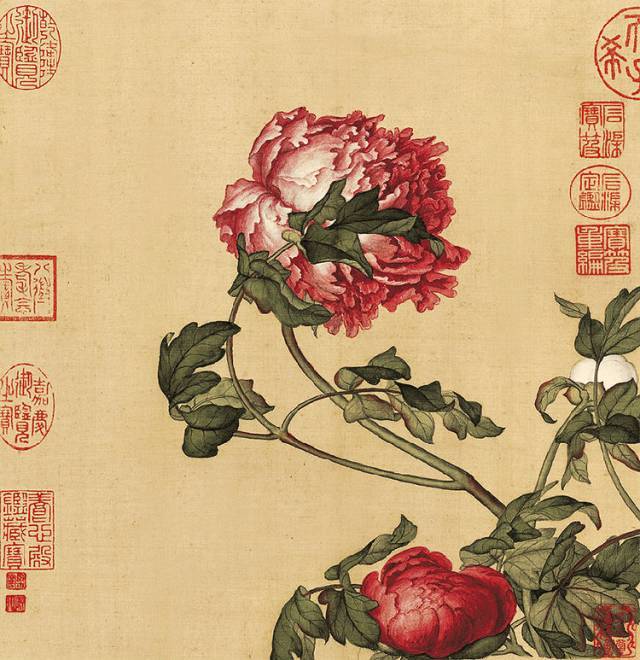 清 郎世宁 小品 花鸟画《仙萼长春图之牡丹》牡丹也是中国人的爱情