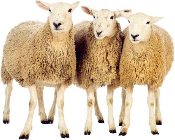 5月7日农历三月廿二今日吉利的属相有哪些 腾讯网