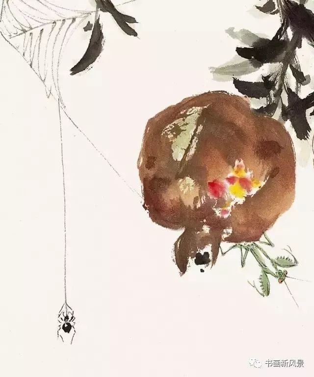 花鸟画|这位老先生的花鸟，色彩超美！