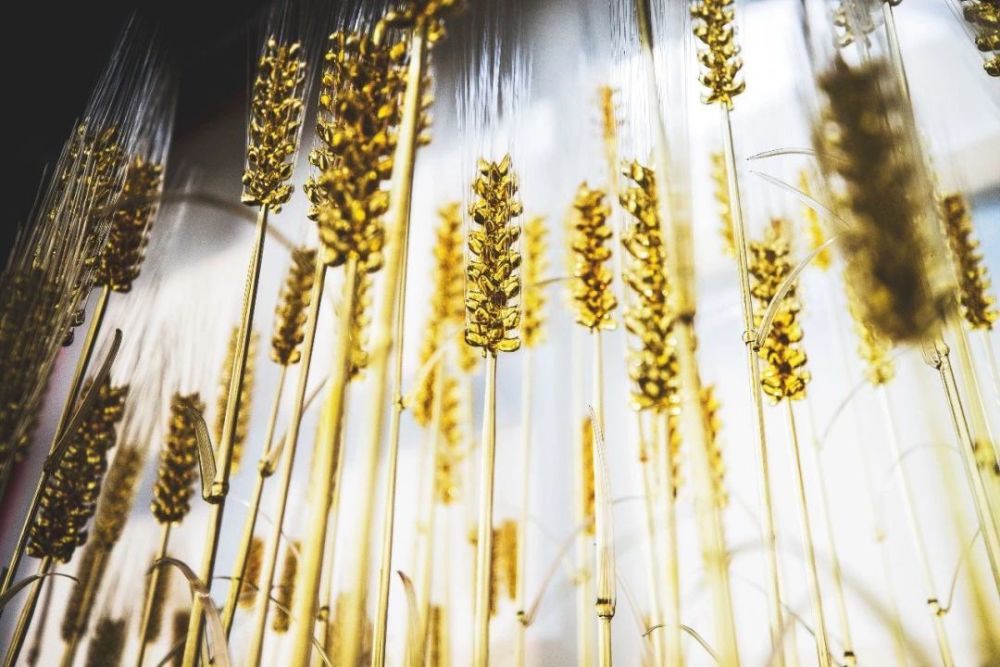 上海玻璃博物馆|上海玻璃博物馆悲剧又重演！