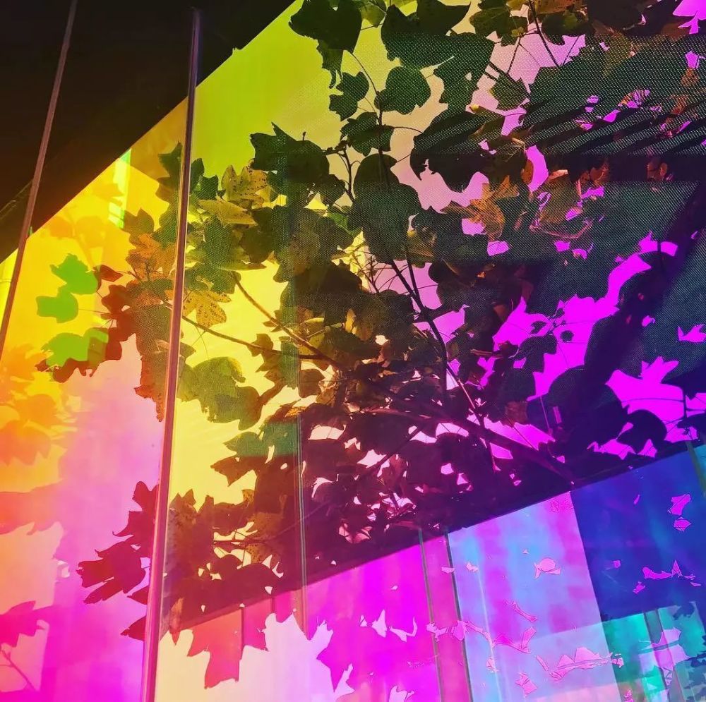 上海玻璃博物馆|上海玻璃博物馆悲剧又重演！