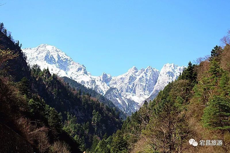 雷古山集黄山之雄伟华山之奇险这座山峰也太美了吧