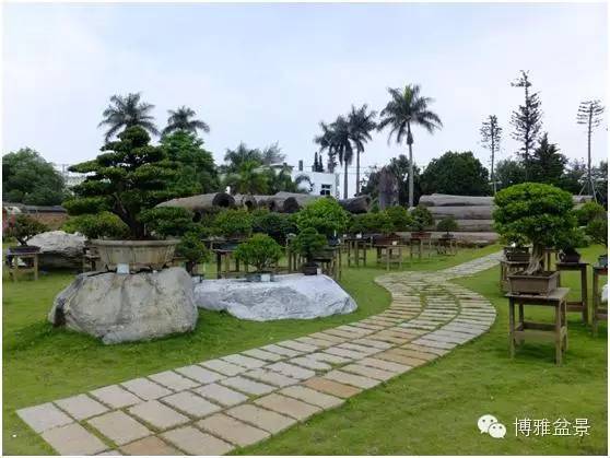 仿唐朝风格兴建的木造屋—紫檀阁