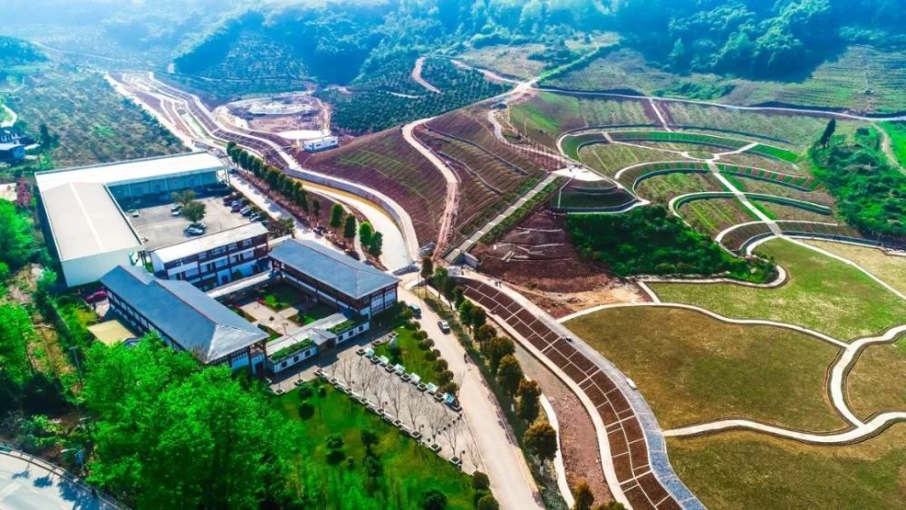 长寿这个村在全国出名了将迎来大发展快看是你家乡吗