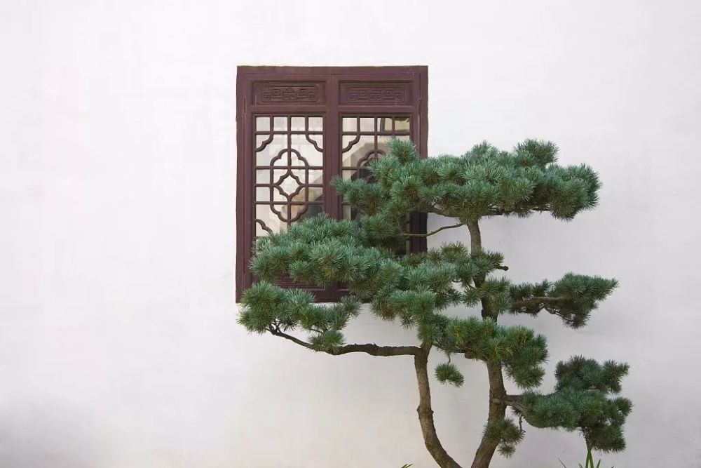 庭院|中式庭院，才是最终的人生归途！