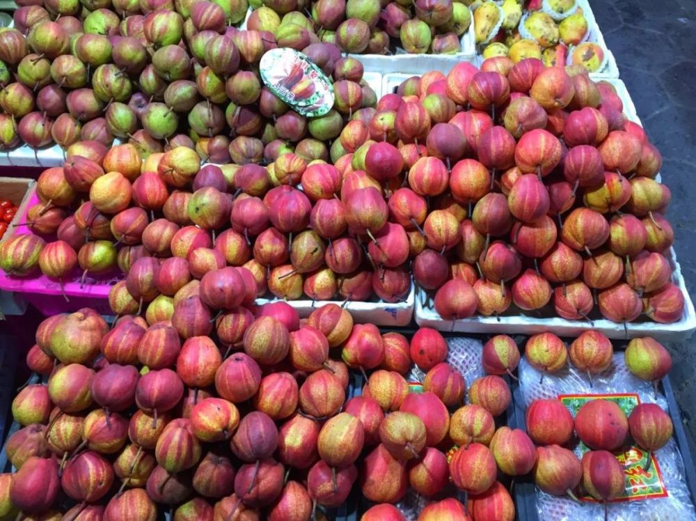 新疆|我亲身经历新疆，见到了别人不知道的真相